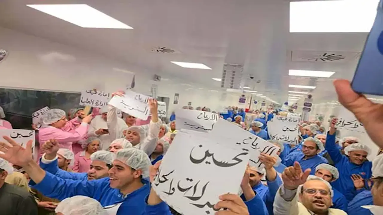 3000 عامل في شركة آمون للأدوية يواصلون الاعتصام للمطالبة بإقالة الرئيس التنفيذي